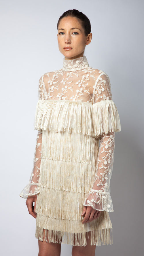 Embroidered Lace Fringe Tulle Dress